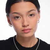 Stella studs