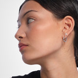 Stella studs